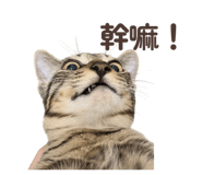 838742901