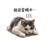 838749666