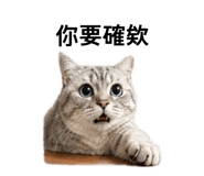 838749806