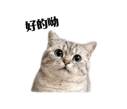 838749807