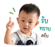 838752493