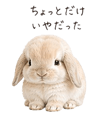 838754403