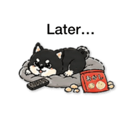 838754586