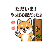 838754637