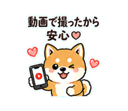 838754651