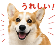 838755574