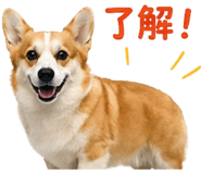 838755580