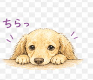 838755964