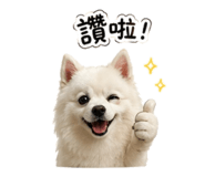 838756010