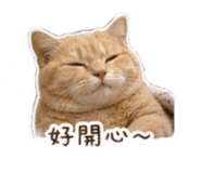 838757112