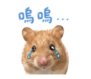 838757422