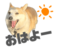838757753