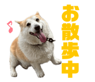 838757755