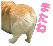 838757763