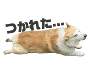 838757766