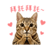 838757807