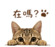 838757808