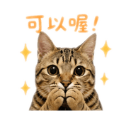 838757811