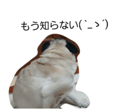 838758086