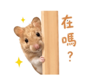 838758093