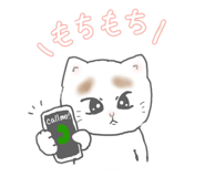 838758145