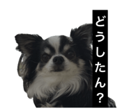 838758213