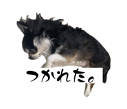 838758221