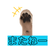 838758223
