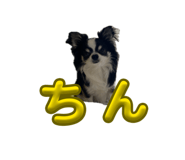 838758224