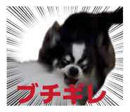 838758228