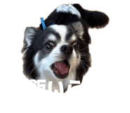838758230