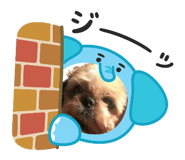 838758375