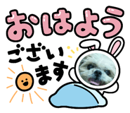 838758389