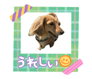 838758671
