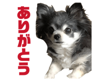 838758729
