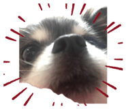 838758735