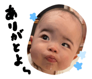 838758775