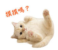 838759498