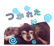 838759580