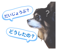 838759586