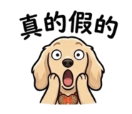838760504