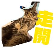 838760942