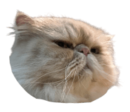 838761334