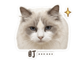 838761580