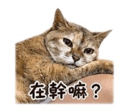 838761665