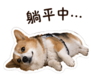 838762552
