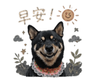 838762641