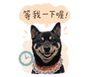 838762659