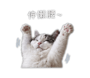 838765537