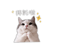 838765542